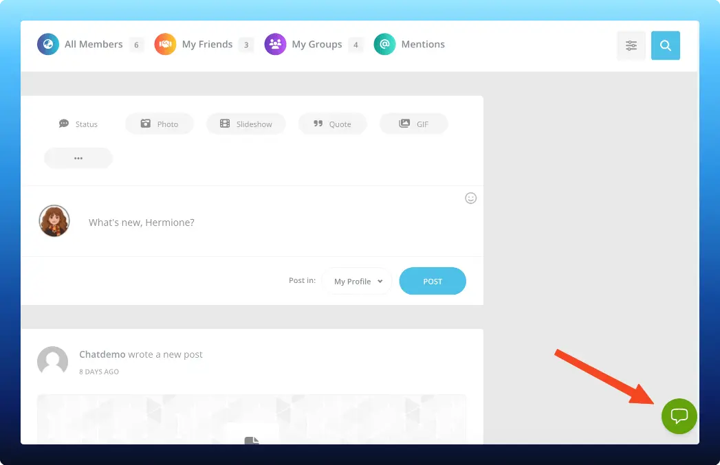 Frontend chat widget